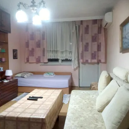 магнолия Elhovo (Yambol)